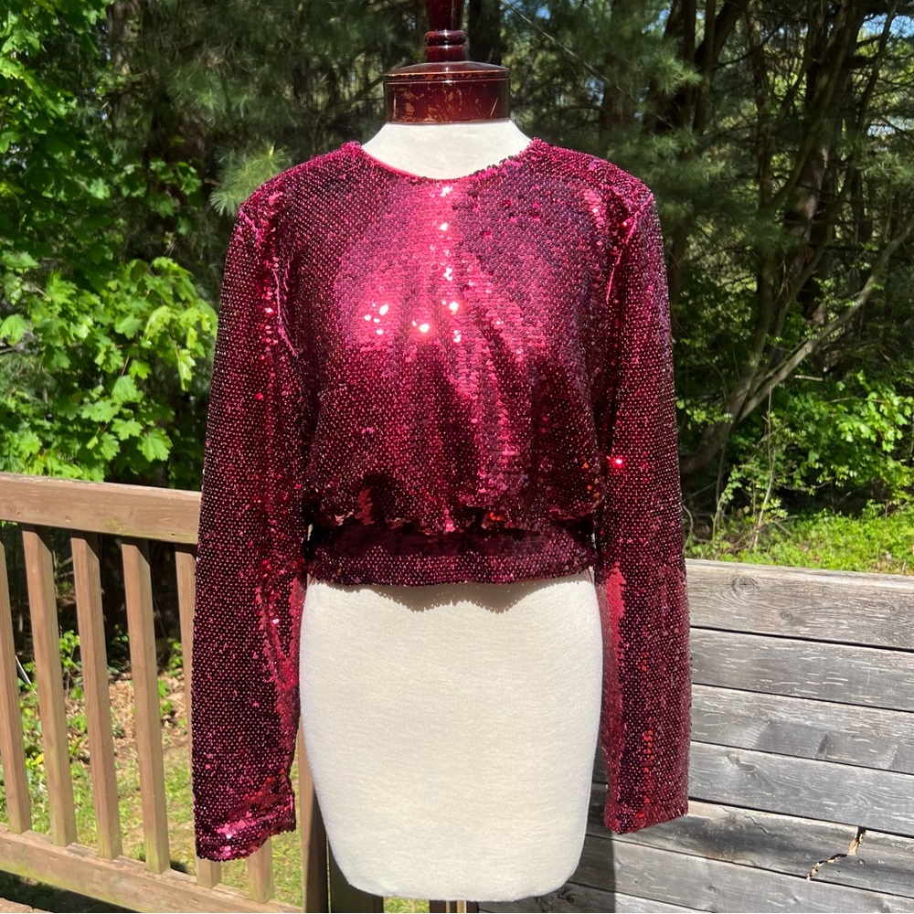Ontwelfth cropped burgundy/fuchsia sequin long sleeve top